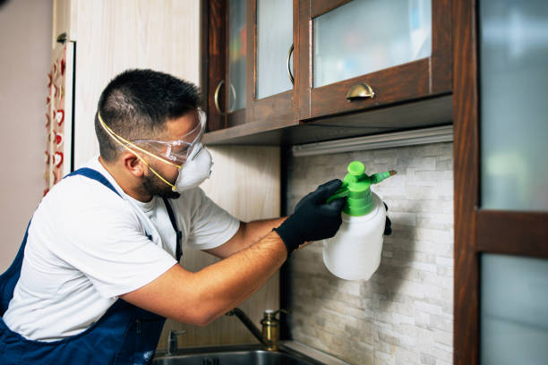 Pest Prevention Services in South Nyack, NY