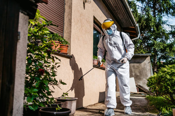 Trusted South Nyack, NY Pest Control Experts
