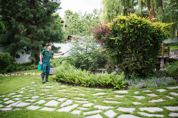 Best Wasp Removal Services  in South Ack, NY